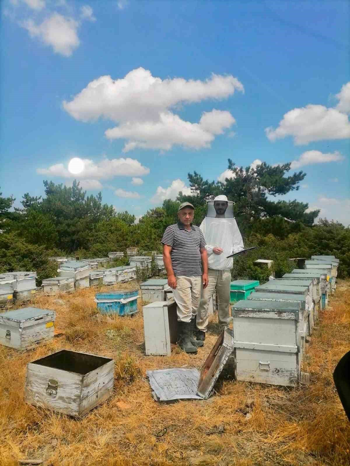AFYONKARAHİSAR’DA ARICILIK FAALİYETLERİNİN KAYIT ALTINA ALINMASI, ÜRETİM VERİLERİNİN GÜNCELLENMESİ...