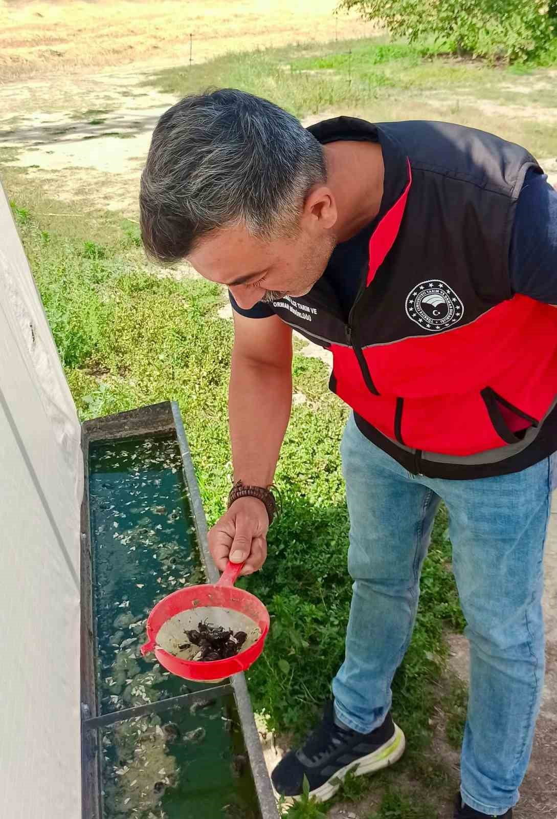 AFYONKARAHİSAR’DA TARIMSAL ÜRETİMDE VERİM VE KALİTEYİ OLUMSUZ ETKİLEYEBİLEN ZARARLILARLA MÜCADELE...