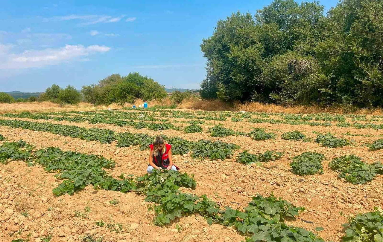 AFYONKARAHİSAR’IN DAZKIRI İLÇESİNDE TARIMSAL ÜRETİMDE ÜRÜN ÇEŞİTLİLİĞİNİN ARTIRILMASI VE...