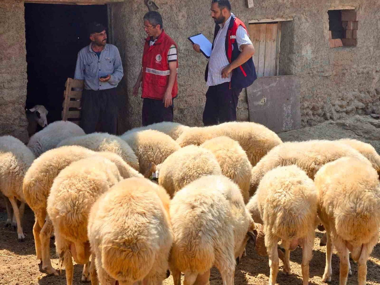 AFYONKARAHİSAR TARIM VE ORMAN İL MÜDÜRLÜĞÜ TARAFINDAN, HAYVANCILIKTA VERİMLİLİĞİN VE...