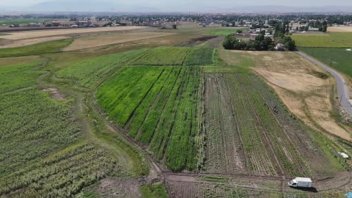 Ağrı’da çiftçinin bostanı örnek oldu, sebze meyve ve tahıl bir arada