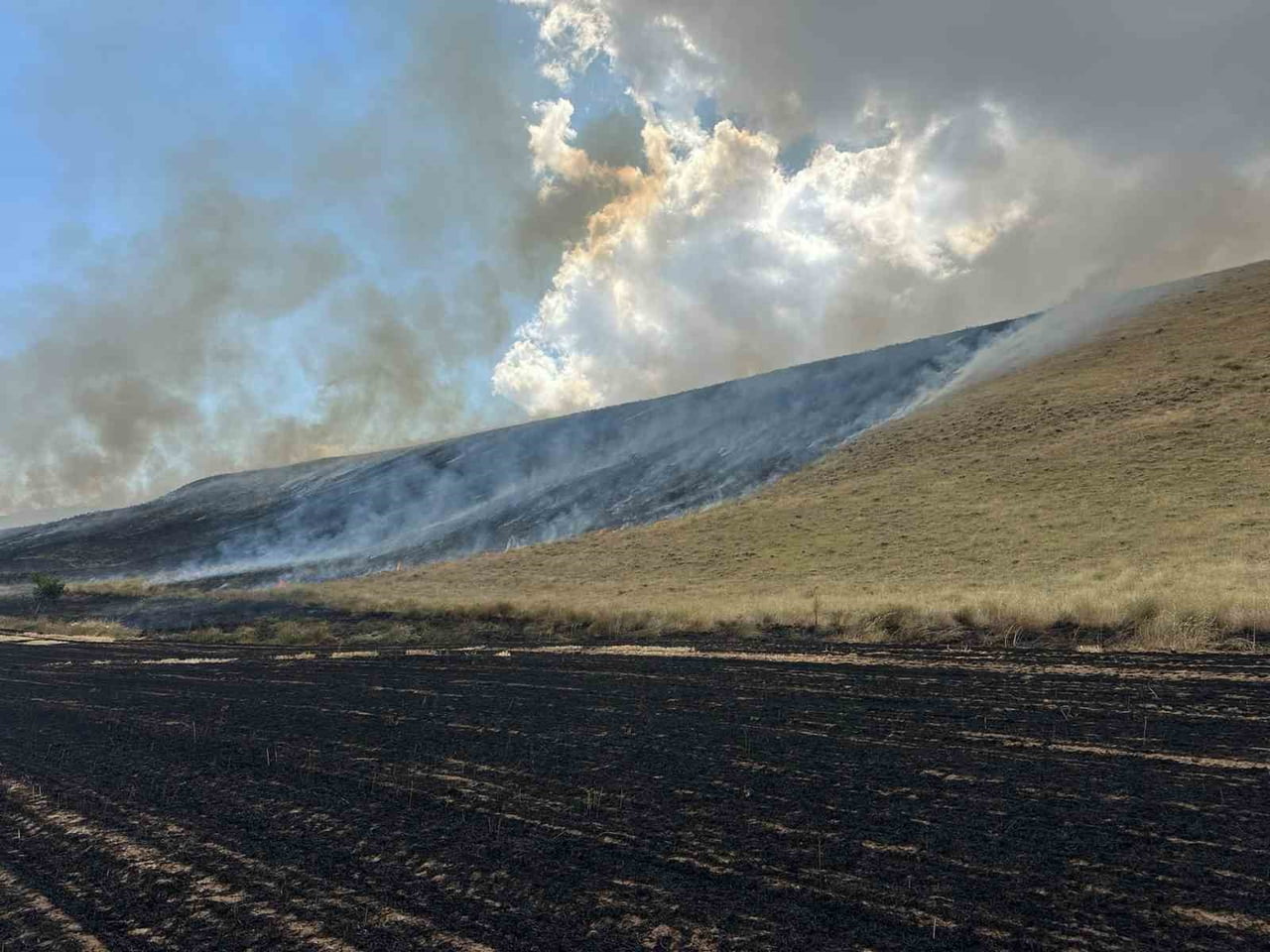 AHLAT İLÇESİNDE BİÇİLMİŞ BUĞDAY TARLALARI VE KURU OTLARIN BULUNDUĞU ALANDA ÇIKAN ÖRTÜ YANGINI...