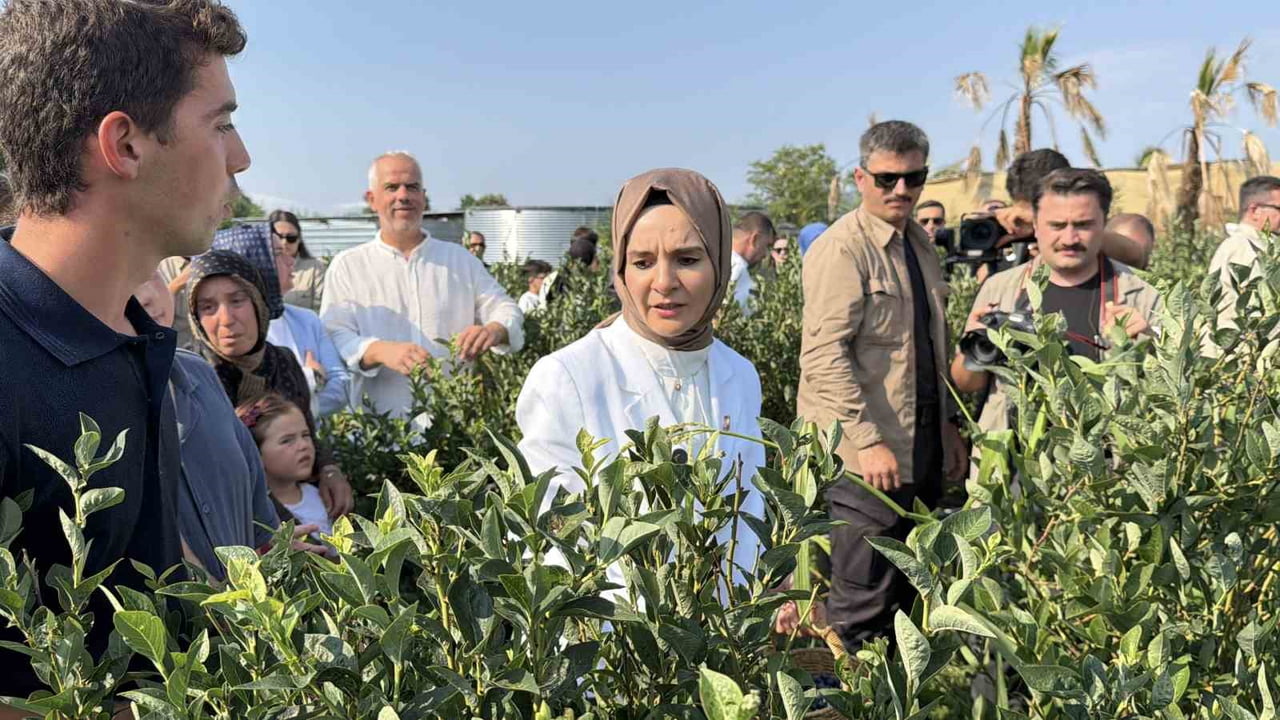 AİLE VE SOSYAL HİZMETLER BAKANI MAHİNUR ÖZDEMİR GÖKTAŞ, DÜZCE’DE ZİYARET ETTİĞİ YABAN MERSİNİ...
