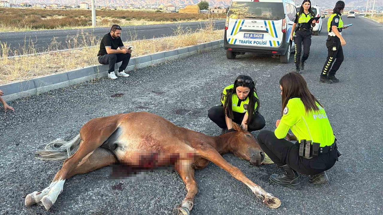 AKSARAY’DA OTOMOBİLİN ÇARPMASI SONUCU YARALANAN VE ACILAR İÇİNDE SAATLERCE KIVRANAN ATA...