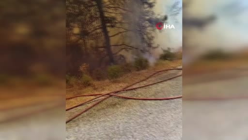 Alanya'da orman yangını