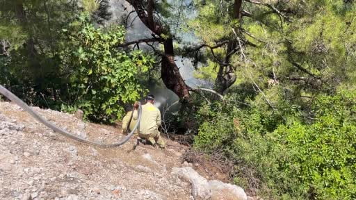 Alanya'da orman yangını