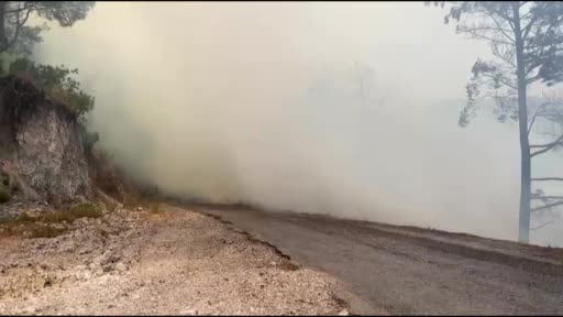 Alanya'da orman yangını