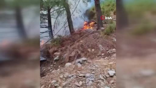 Alanya'da yıldırımın düşmesiyle yangın çıktı: 1 dönüm alan zarar gördü