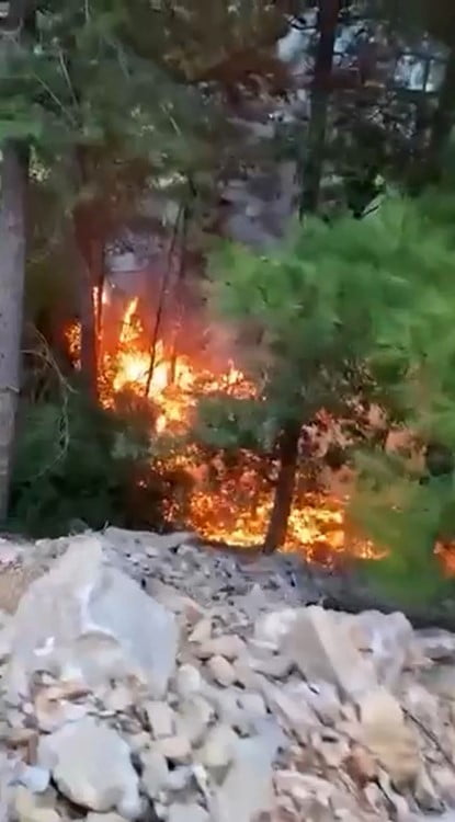 ALANYA İLÇESİNDE YILDIRIM DÜŞMESİ SONUCU ÇIKAN YANGINDA YAKLAŞIK 1 DÖNÜM ORMANLIK ALAN ZARAR...