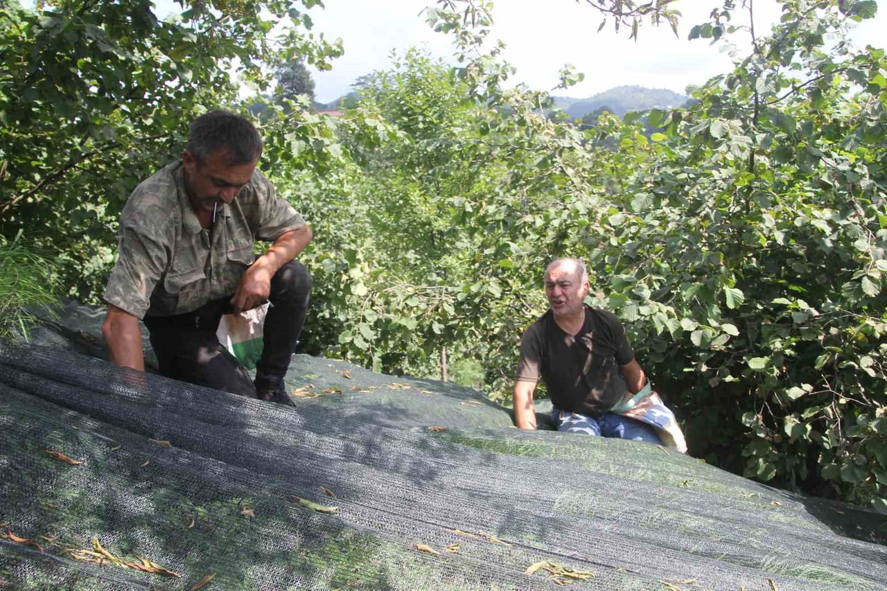 ALTINORDU İLÇESİ KARAAĞAÇ MAHALLESİ’NDE YAŞAYAN ÖZİŞ KARDEŞLER, TARIM VE ORMAN BAKANLIĞI’NIN YÜZDE...