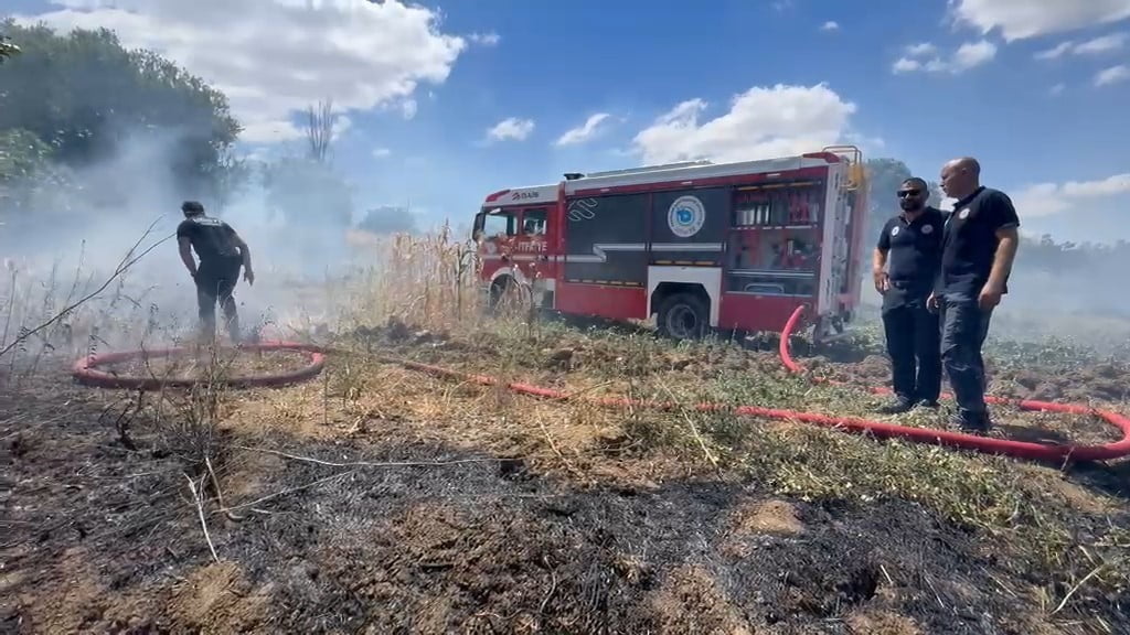 ANIZ YANGINI 100 DEKARLIK ALANA ZARAR VERDİ