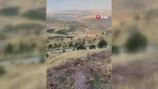 Ankara'da ağaçlık alanda çıkan yangın söndürüldü