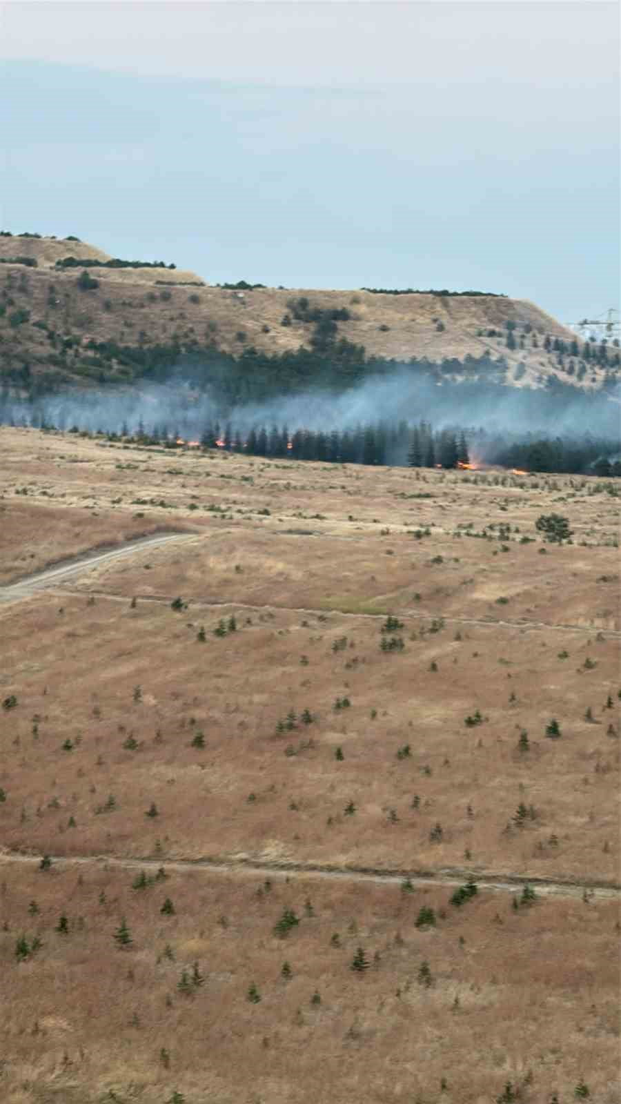 ANKARA'NIN YENİMAHALLE İLÇESİNDE AĞAÇLIK ALANDA YANGIN ÇIKTI. EKİPLERİN YANGINA MÜDAHALESİ...