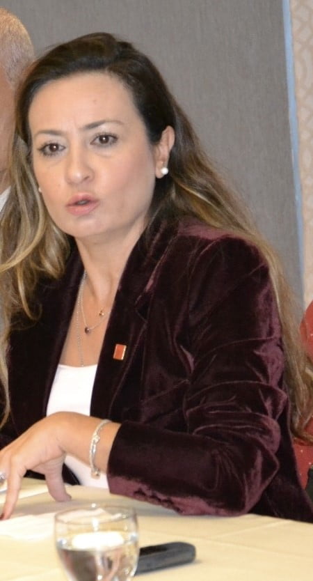 ANKARA CUMHURİYET BAŞSAVCILIĞI TARAFINDAN YÜRÜTÜLEN ÇIKAR AMAÇLI SUÇ ÖRGÜTÜ VE RÜŞVET SORUŞTURMASI...
