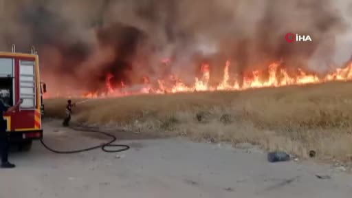 Ankara’da otluk alan yangını