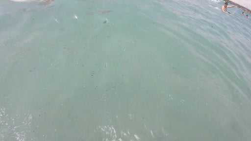 Antalya'da berraklaşmayan deniz suyunun sebebi karasal kirlilik