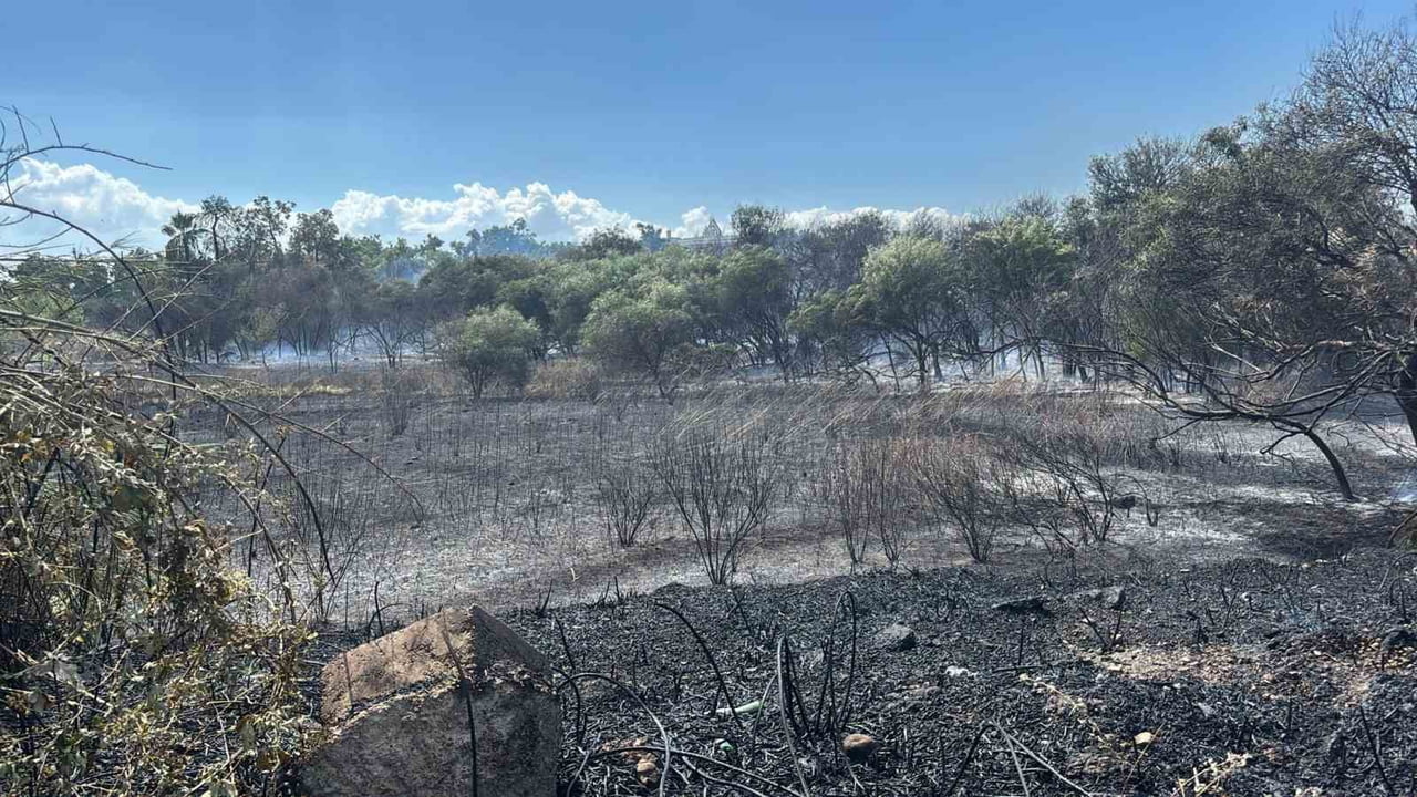 ANTALYA'NIN MANAVGAT İLÇESİNDE SAZLIK VE AĞAÇLIK ALANDA ÇIKAN YANGIN SÖNDÜRÜLDÜ