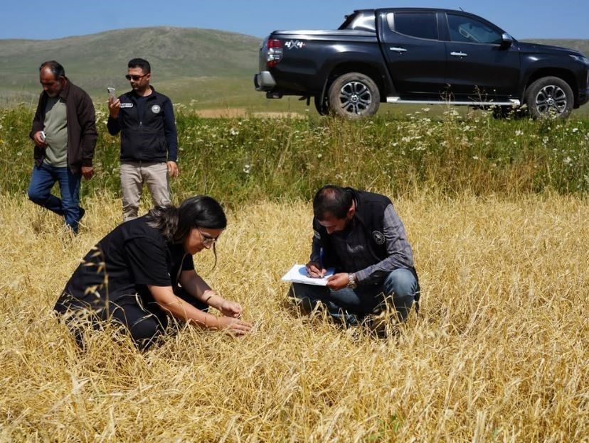 ARDAHAN'DA AŞIRI YAĞIŞ VE DOLU NEDENİLE ZARAR GÖREN ARAZİLERDE HASAR TESPİTİ YAPILDI. (OLGUN...