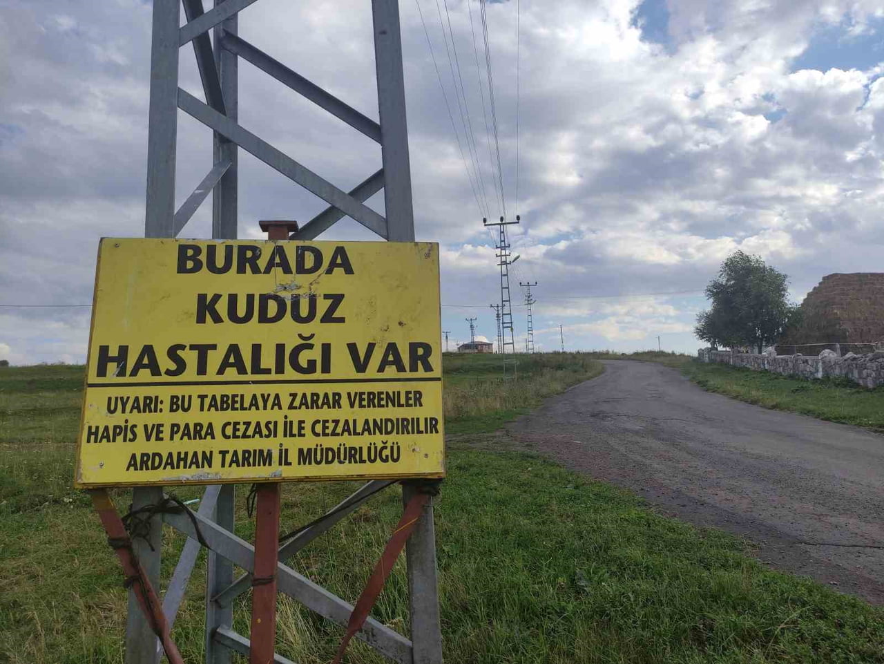 ARDAHAN'DA KUDUZ VAKASI: TEST SONUCU POZİTİF ÇIKTI, MAHALLE KARANTİNAYA ALINDI.