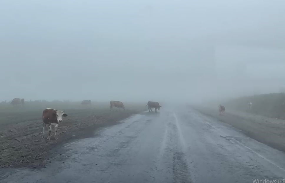 ARDAHAN-POSOF KARAYOLU ÜZERİNDE BULUNAN ILGAR DAĞI GEÇİDİNDE ETKİLİ OLAN YOĞUN SİSLE BİRLİKTE...