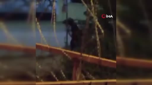Arnavutköy'de yürek burkan görüntüler: Dakikalarca atı dövdü