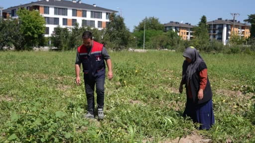 Ata tohumundan üretildi, ihtiyaç sahiplerine ulaştırıldı