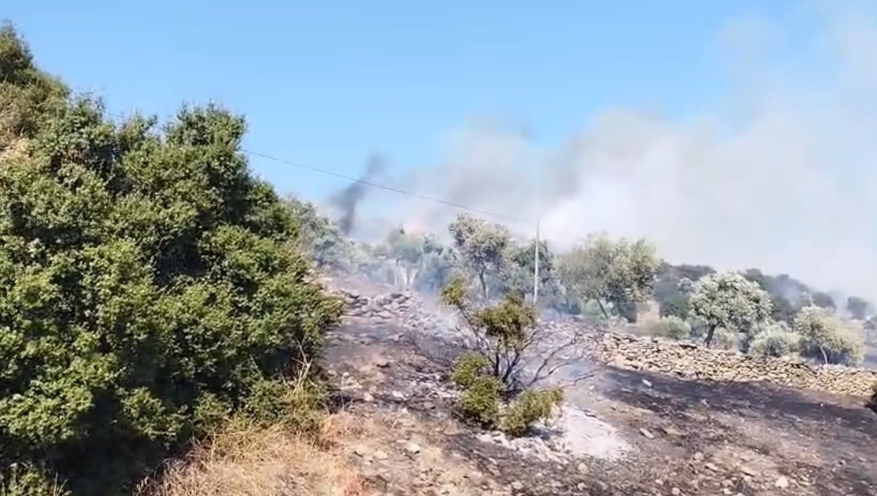 AYDIN'IN ÇİNE İLÇESİNDE ZİRAİ ALANDA BAŞLAYAN YANGINA EKİPLERİN HAVADAN VE KARADAN MÜDAHALESİ...