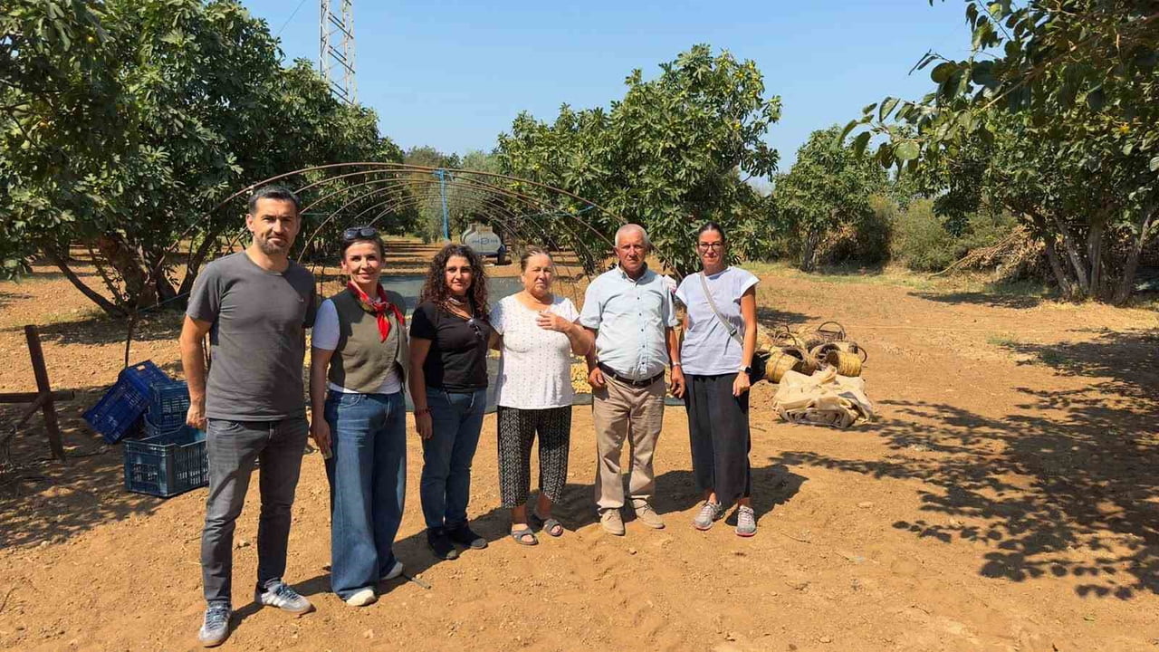 AYDIN'IN DÜNYACA ÜNLÜ İNCİRİNDE, COĞRAFİ İŞARET TESCİL ŞARTLARINA UYGUNLUĞUN KORUNMASI AMACIYLA...