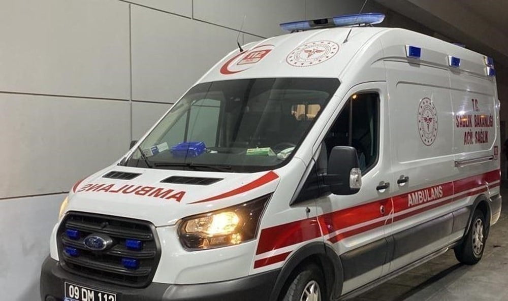 AYDIN'IN EFELER İLÇESİNDE BİR BABA EVİNİN BAHÇESİNE HAVA ALMAK İÇİN ÇIKTIĞI ESNADA, 25 YAŞINDAKİ...