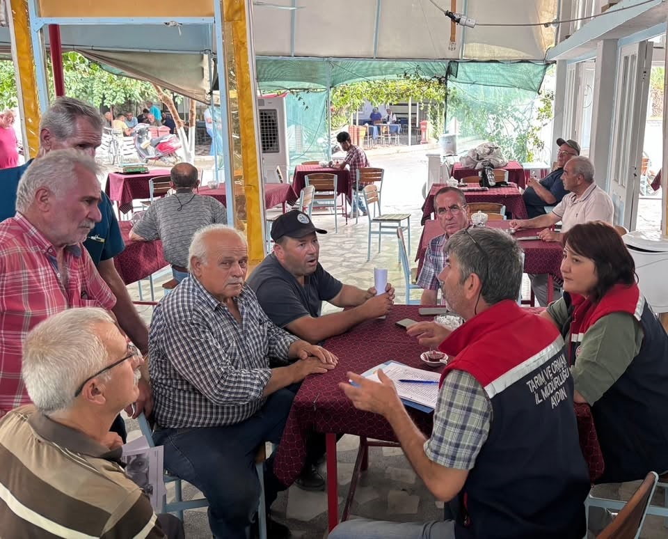 AYDIN'IN NAZİLLİ İLÇESİNDE İNCİRDE KALİTE VE GIDA GÜVENLİĞİNİN ARTIRILMASI AMACIYLA BOZYURT VE...