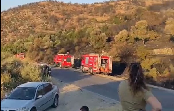 AYDIN'IN SÖKE İLÇESİNDE ORMANLIK ALANDA ÇIKAN YANGIN EKİPLERİN YOĞUN UĞRAŞLARI SONUCU KONTROL...