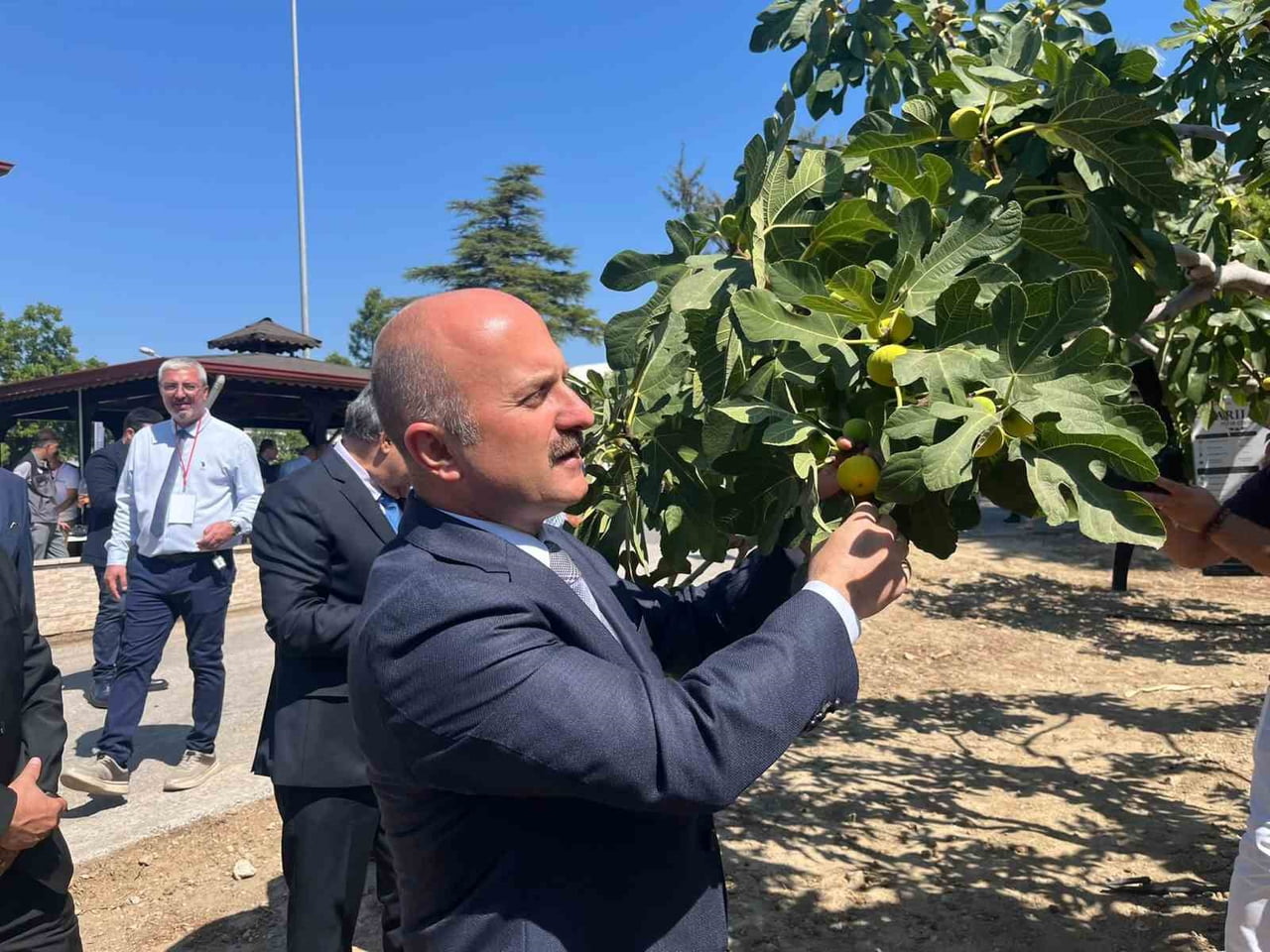 AYDIN’IN DÜNYACA ÜNLÜ İNCİRİNİN GELECEĞİNİN ELE ALINDIĞI İNCİR ÇALIŞTAYI, İNCİR ARAŞTIRMA...