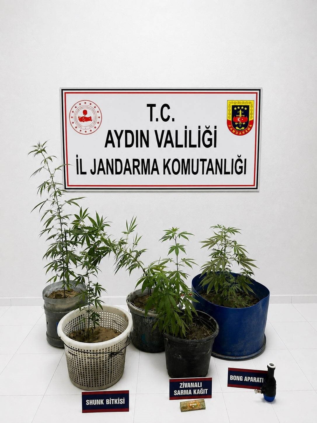 AYDIN’IN KUŞADASI İLÇESİNDE JANDARMA EKİPLERİNİN DÜZENLEDİĞİ UYUŞTURUCU OPERASYONUNDA 6 KÖK EKİLİ...