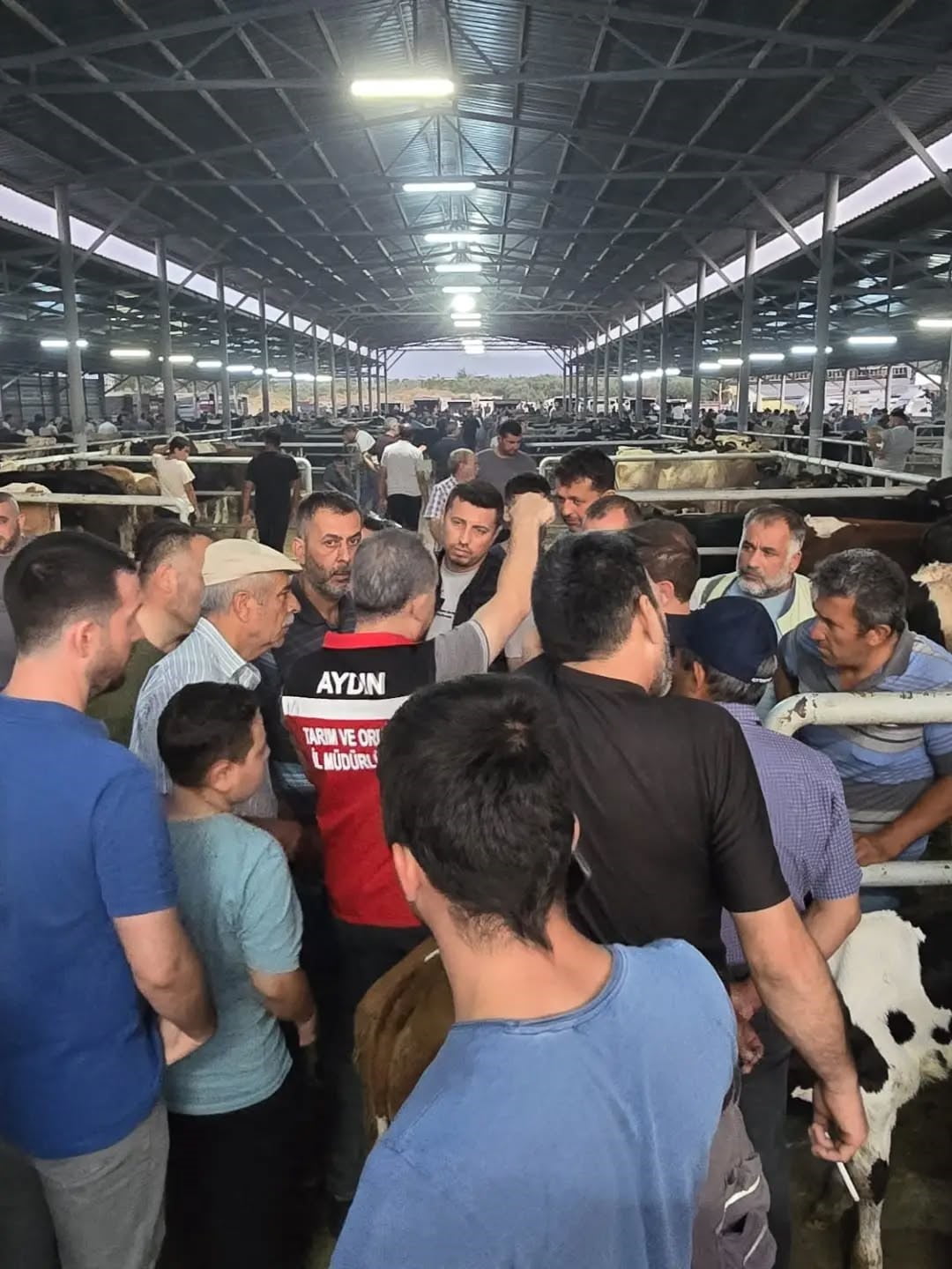 AYDIN’IN NAZİLLİ VE ÇİNE İLÇELERİNDEKİ HAYVAN PAZARLARINDA DENETİMLERİNİ SÜRDÜREN EKİPLER, KÜPESİZ...