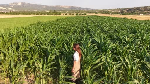 Babasının geçirdiği iş kazasıyla çiftliği yükü omuzlarına bindi, o ise üretmekten...