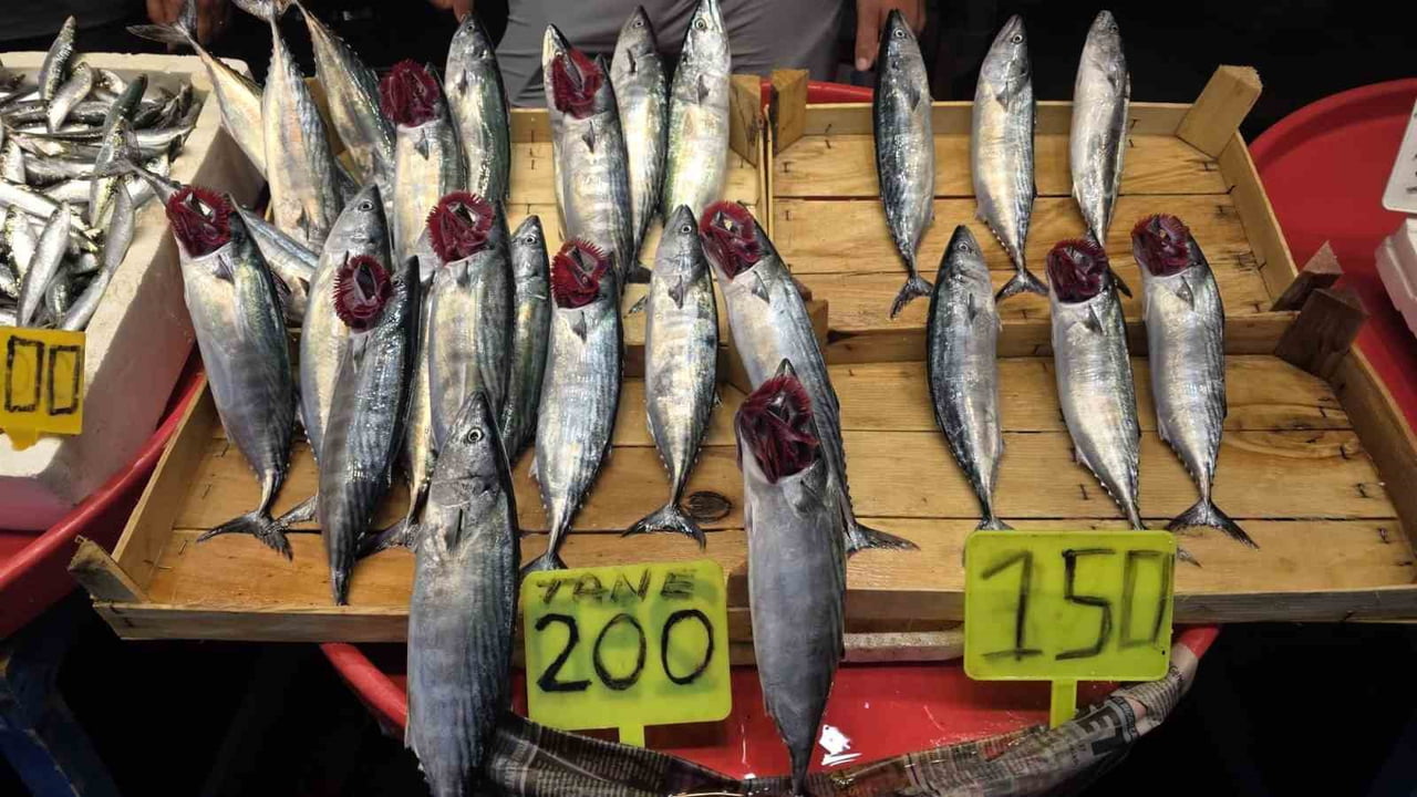 BALIK SEZONU ÖNCESİ TEZGÂHLAR HAREKETLENDİ