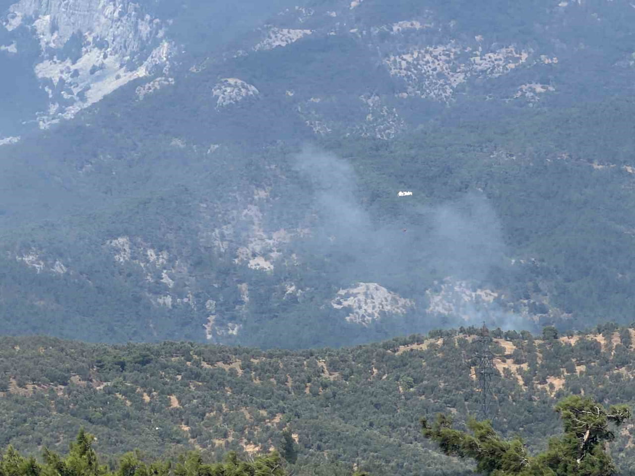 BALIKESİR’İN EDREMİT İLÇESİNE BAĞLI MEHMETALAN MAHALLESİ ÜST KESİMLERİNDE ZEYTİNLİK ALANDA...