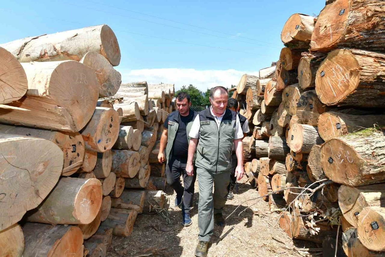 BANDIRMA ORMAN İŞLETME MÜDÜRLÜĞÜNDEKİ ÇALIŞMALAR YERİNDE İNCELENDİ