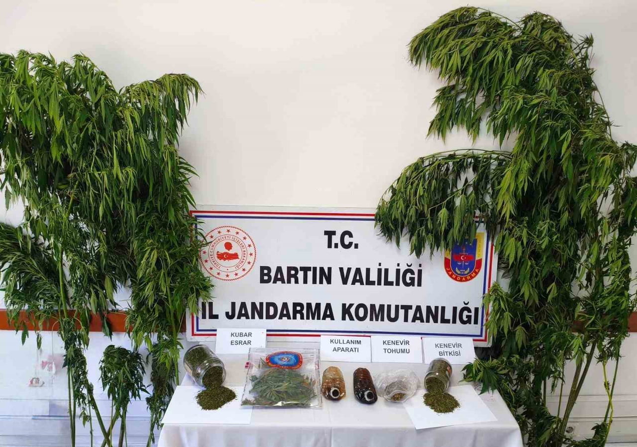 BARTIN'DA YAPILAN UYUŞTURUCU OPERASYONUNDA 20 KÖK KENEVİR BİTKİSİ, 500 GR KUBAR ESRAR MADDESİ, 200...