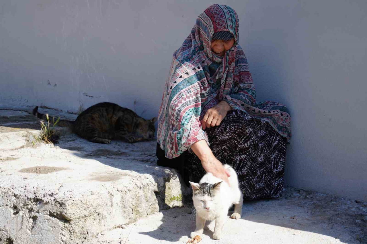 BAYBURT'TA SENELERDİR SAHİPSİZ HAYVANLARI BESLEYEN KADIN, 10 YILDIR BAKTIĞI SOKAK KEDİSİNİ...