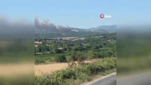 Bayramiç’te orman yangını