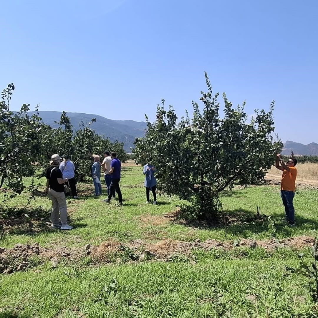 BİLECİK İL TARIM VE ORMAN MÜDÜRLÜĞÜ TEKNİK PERSONELİ İLE YALOVA BAHÇE KÜLTÜRLERİ ARAŞTIRMA...