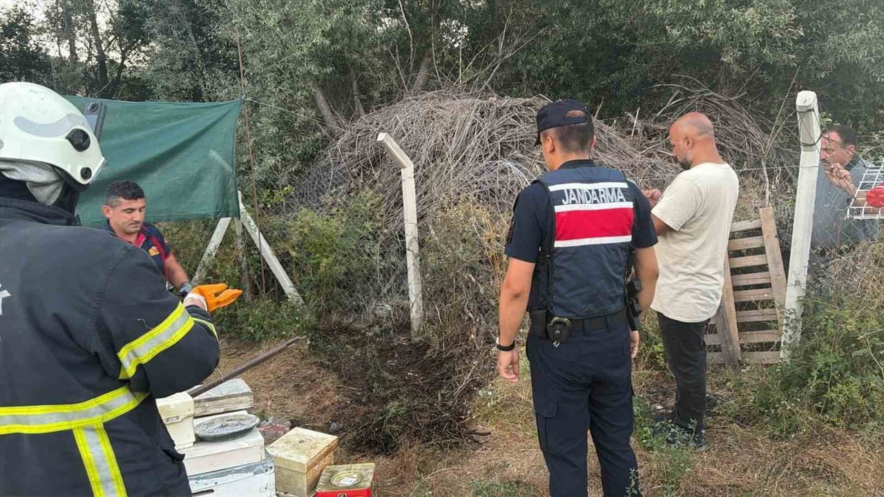 BİLECİK’TE OT VE ÇALILIK YANGINI BÜYÜMEDEN SÖNDÜRÜLDÜ