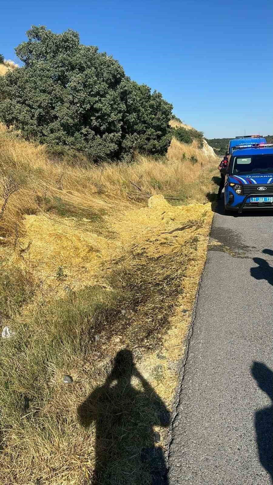 BİLECİK’TE YOL KENARINA ATILAN SİGARA İZMARİTİ YANGINA NEDEN OLDU
