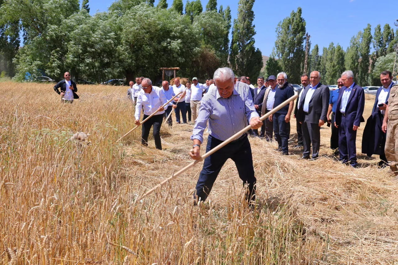 BİNALİ YILDIRIM HARMAN ŞENLİĞİ'NDE TIRPAN SALLADI