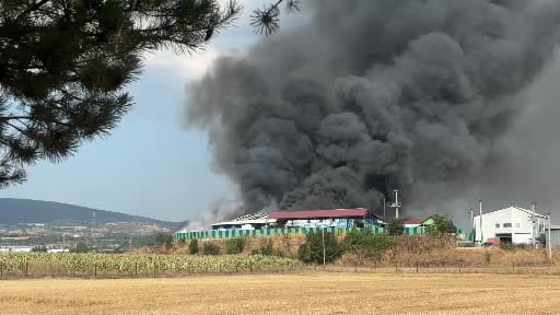 Bolu'da geri dönüşüm tesisinde yangın