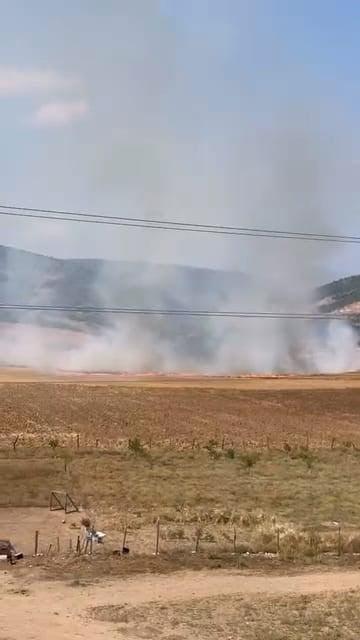 BURSA’DA TARLALIK ALANI ATEŞEN VEREN ŞÜPHELİ YAKALANDI