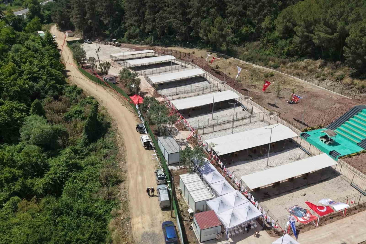 BURSA HAYVAN HAKLARI PLATFORMU, GEMLİK BELEDİYESİ TARAFINDAN AÇILAN HAYVAN YAŞAM ALANI'NIN...
