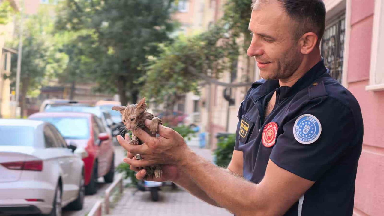 BURSA’NIN İNEGÖL İLÇESİNDE APARTMANIN YAĞMUR SUYU GİDER BORUSUNA SIKIŞAN YAVRU KEDİ, İTFAİYE...