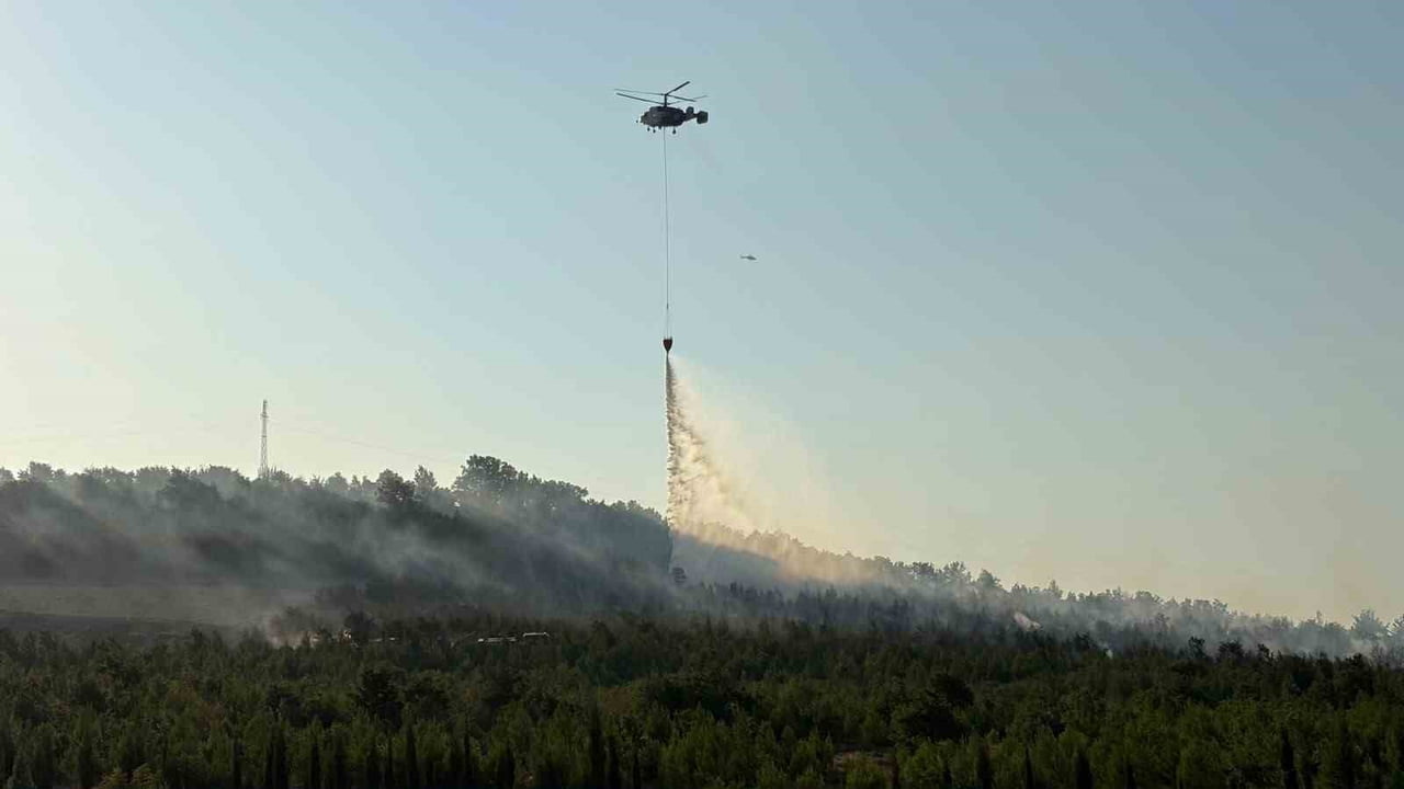 ÇANAKKALE'NİN BAYRAMİÇ İLÇESİNDE ORMANLIK ALANDA ÇIKAN YANGINA ORMAN BÖLGE MÜDÜRLÜĞÜNE BAĞLI...